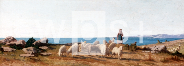 BORRANI Odoardo ｜カスティリオンチェルロの羊の放牧