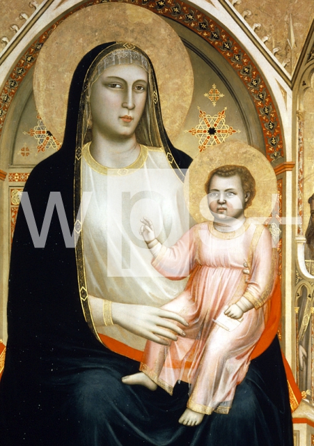 GIOTTO DI BONDONE｜オンニサンティの聖母（部分）