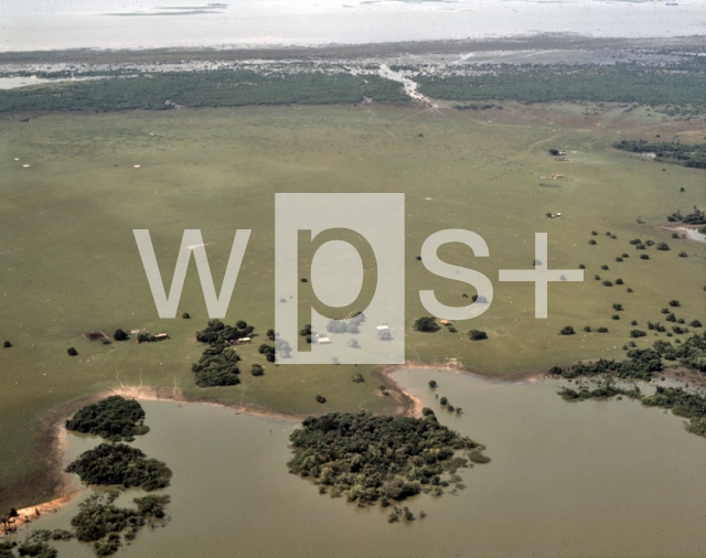 ｜サンタレン北西の湿地沿いを流れるアマゾン川と畜産農場