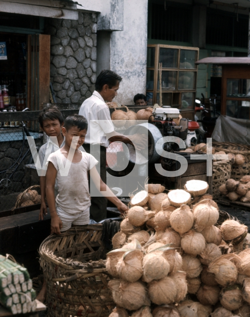 ｜メダン中央市場でココナッツを売る少年