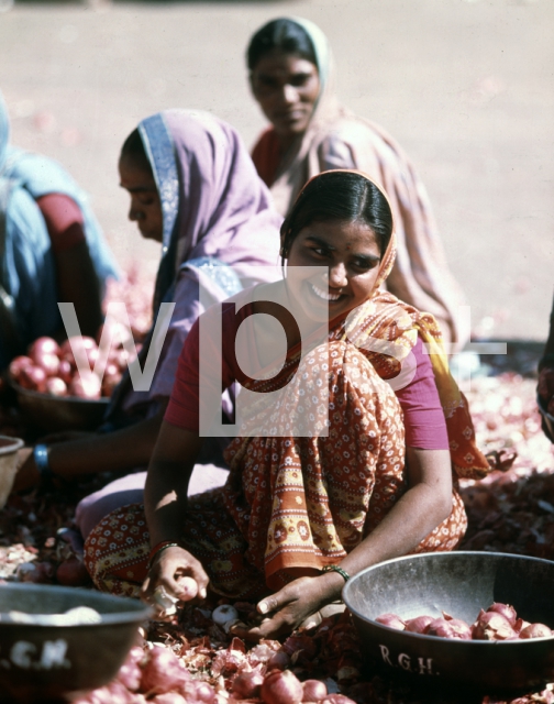 ｜デカン高原の玉葱の卸し市場で働く少女