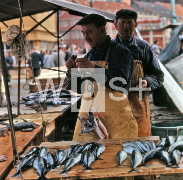 ｜ベルゲンの魚市場