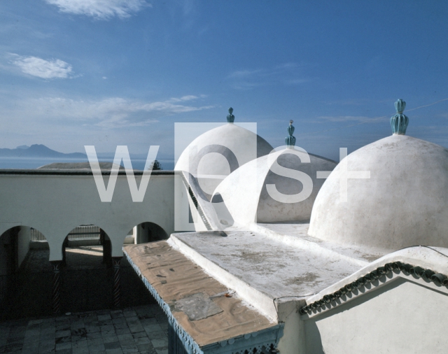 ｜白いモスクの屋根