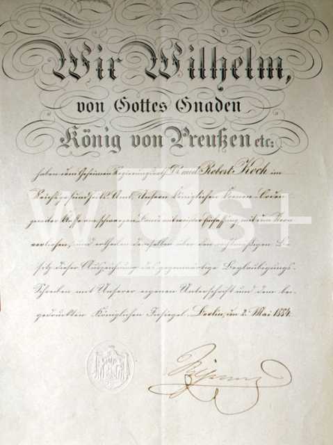 ｜コッホの2等クラウン勲章の授与、1884年5月2日（ドイツ皇帝ヴィルヘルム２世署名入り）