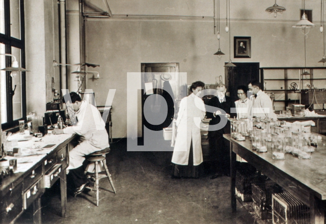 ｜エールリヒ、秦佐八郎と他の助手と共に研究室にて、1910年