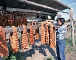 ｜鮭の干物を作るイヌイット族の女性