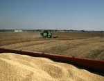 ｜イリノイ州西部の大豆の収穫