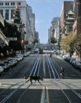 ｜カリフォルニア・ストリートを走るケーブルカー