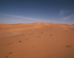 ｜サハラ砂漠