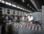 ｜ヴェール・オ・ペーゾ市場の鮮魚売場
