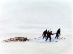 WILSON Edward Adrian｜グレート・アイス・バリアー大氷原（ロス棚氷）で橇を引っぱる、1903年