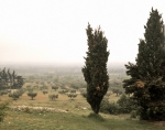 VAN GOGH Vincent｜サン＝レミ付近の糸杉のある風景