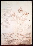 LEONARDO DA VINCI｜ダ・ヴィンチの自筆原稿「植物と抽出方法」