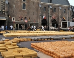 ｜チーズ市場