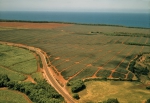 ｜ラナイ島のパイナップル畑