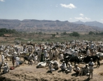 ｜デカン高原のゴティ村の牛市場