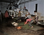 ｜工場で茶葉を発酵する作業