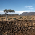 ｜ナミブ砂漠の西岸のカオコフェルトの風景