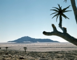｜ナミビアの砂漠地帯