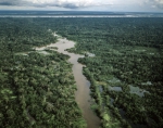 ｜イキトス近くの熱帯雨林とアマゾン川
